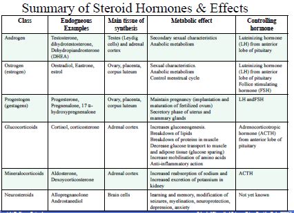 endocrine d. . Steroid hormones quizlet